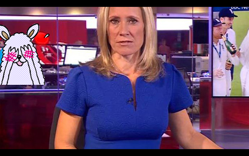 狂  BBC女主播報新聞卻被眼尖觀眾發現後方有「色色動態物」一看．．．男人們全噴鼻血  （圖+影）